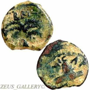 Antonius Felix under Claudius. Palm Tree/Shields Nero, Britannicus. Ancient Coin