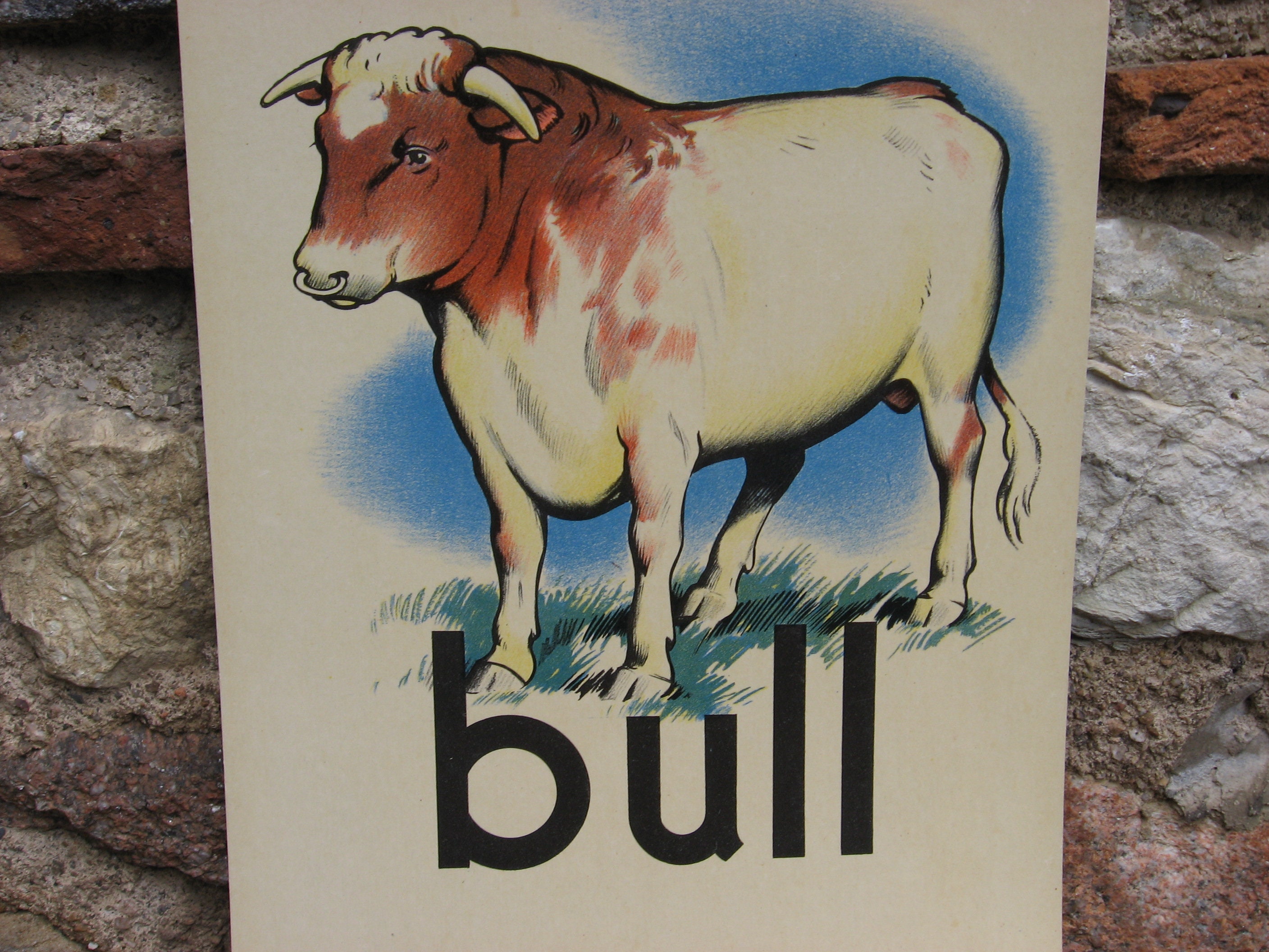 Affiche sur Les Animaux d'élevage Des Années 1960. Vintage Ferme Ferme Murale Pour Chambre d'enfant 