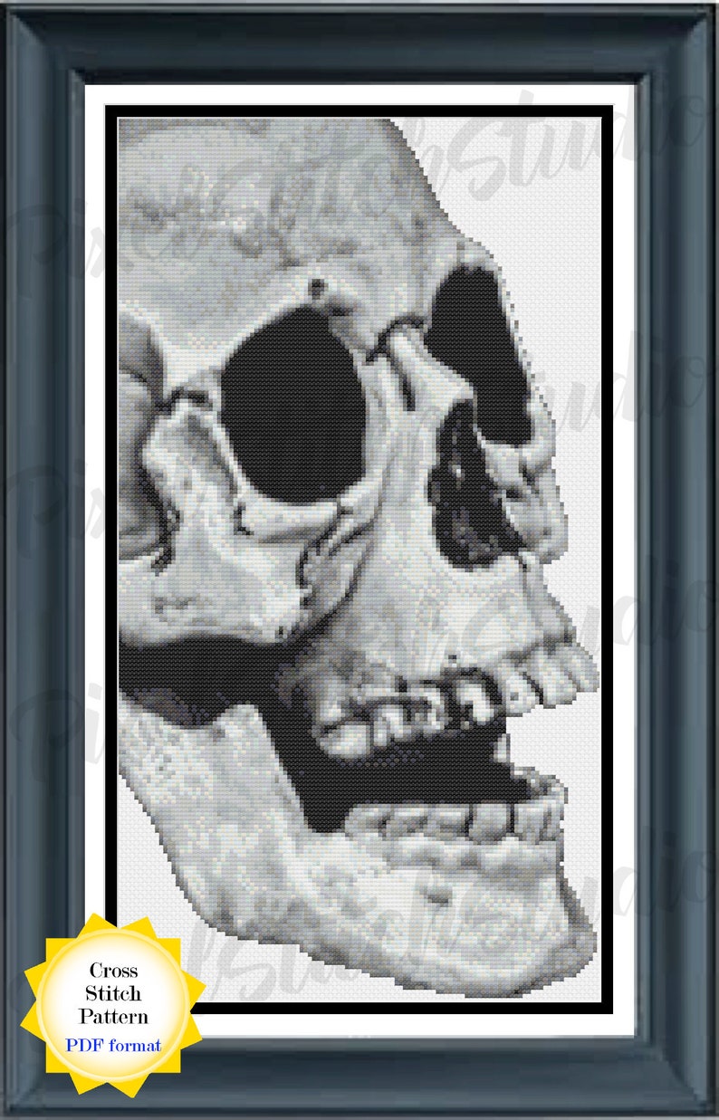 Human Skull in Black And White White Skeleton Face Profile image 1