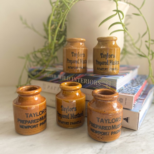 Taylor's Prepared Mustard Newport Pagnell England - Victorian Mustard Pot / Jar Antique - Made in England