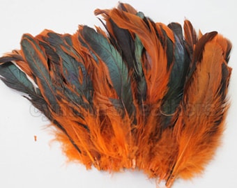pcs. 16g 8-10/" half bronze orange schlappen coque rooster tail feathers 80