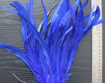 25pcs 10-12" royal blue rooster coque tail feathers for crafting, millinery supply, wedding, etc. SKU: 7B12