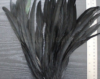 25pcs 10-12" black rooster coque tail feathers for crafting, decoration, millinery supply etc. SKU: 7B51