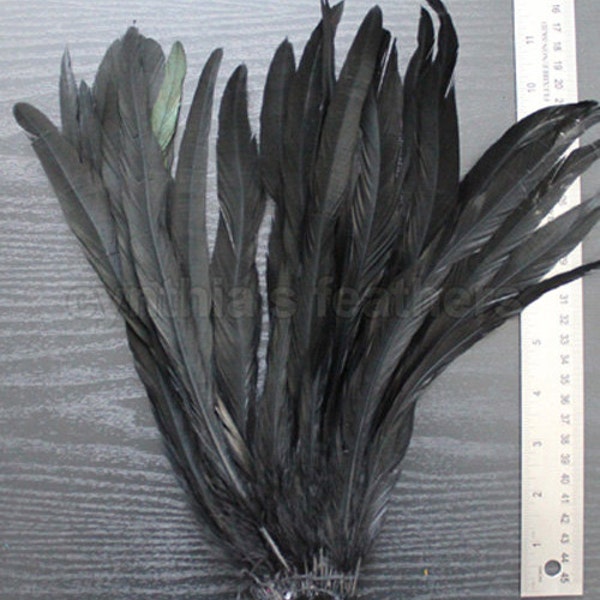 25pcs 10-12" black rooster coque tail feathers for crafting, decoration, millinery supply etc. SKU: 7B51