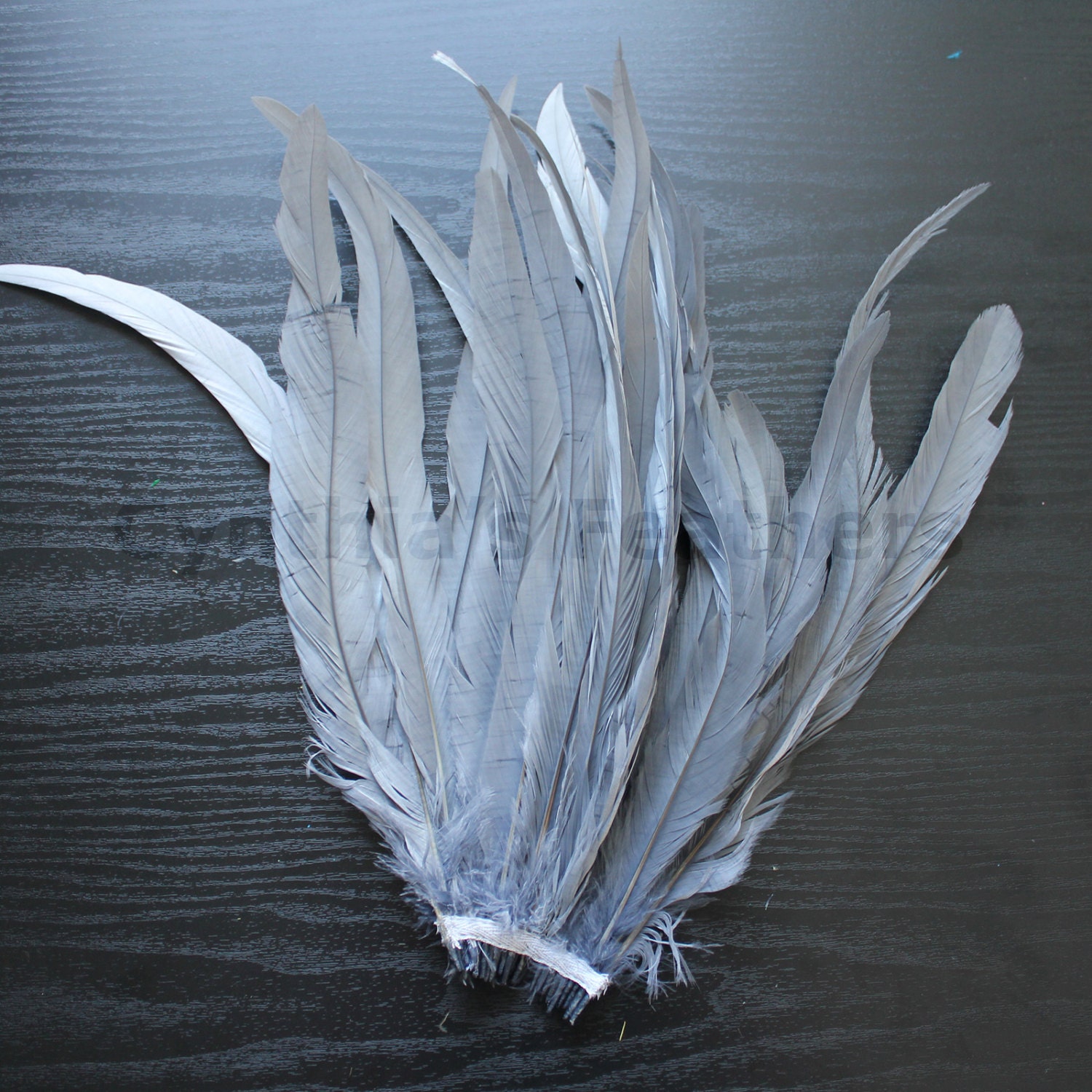 25 pcs 12-14" long Silver Grey Dyed Rooster COQUE tail