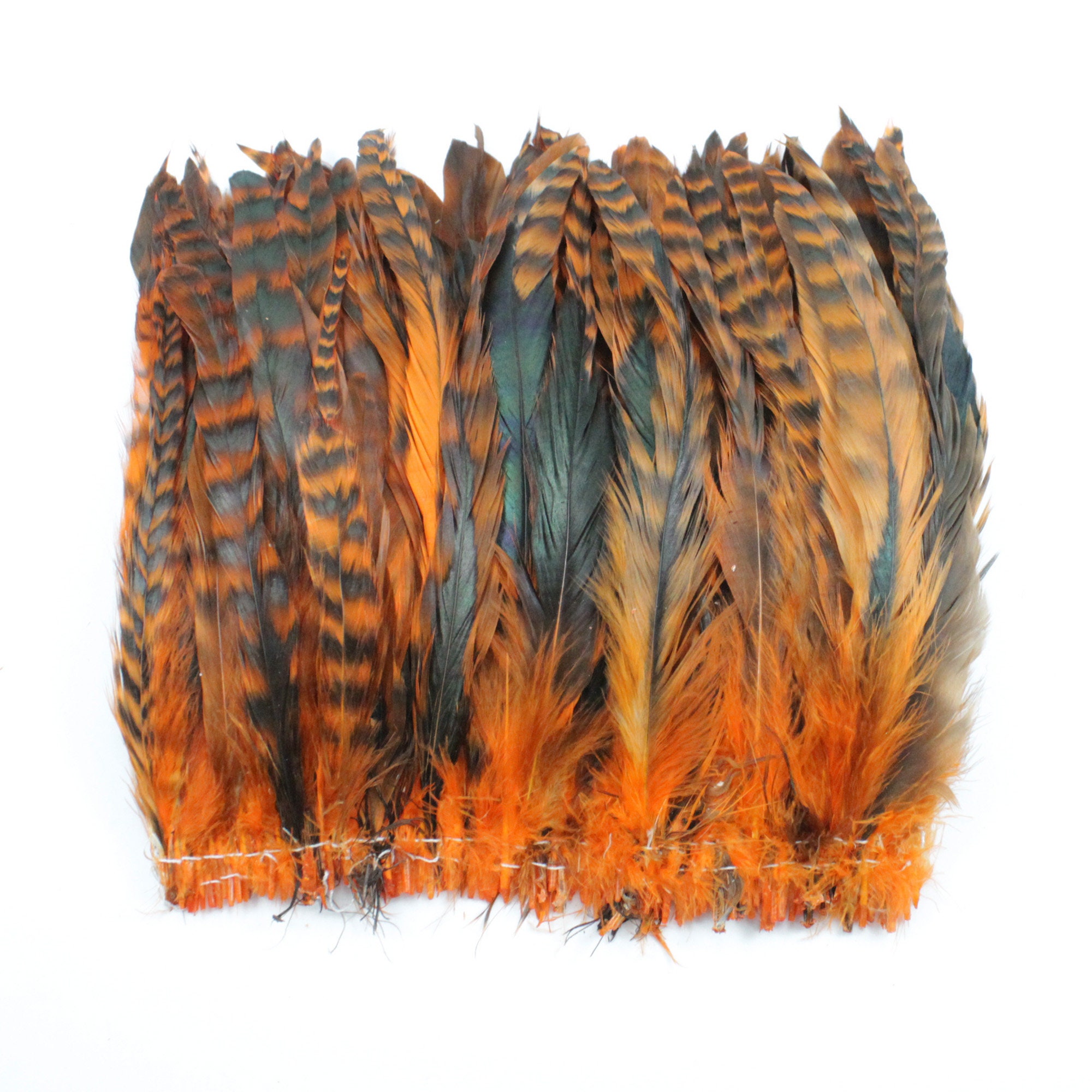 Coque Rooster Feathers