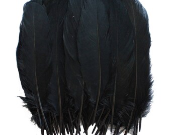 Plumes d'oie, Black Goose Satinettes Plumes Artisanat Décoration Halloween Costume SKU: 7I13