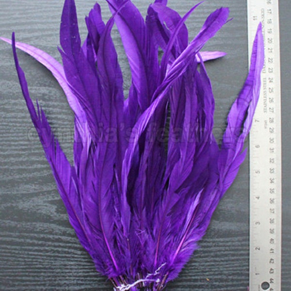25pcs 10-12" regal purple rooster coque tail feathers for crafting, millinery supply, wedding, etc. SKU: 7B42