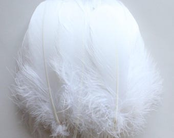 Plume d’oie, blanc plumes d’oie Nagoire artisanat décoration Halloween Costume SKU : 43 7