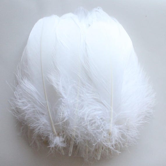 white goose feather