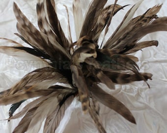 Natural gray 6-8" CHINCHILLA COQUE rooster Feathers, fly tying, Cynthia's Feathers SKU 7D21