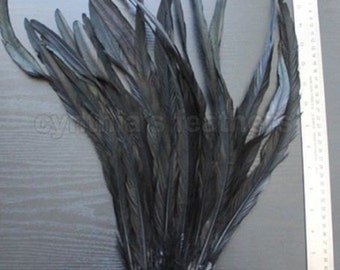 25pcs 18-21" black  rooster coque tail feathers for crafting, decoration, weddng, millinery supply, fly tying, custume