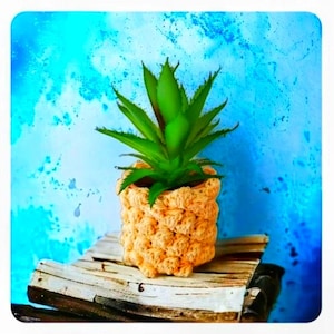 Crochet Pineapple Plant Cozy – Tropical Home Decor, Fits 2-2.5 inch Pots