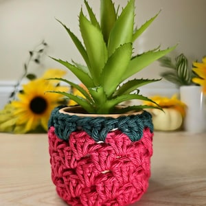May include: A small, decorative plant in a handmade crochet pot. The pot is a vibrant combination of red and dark green yarn, with a textured pattern. The plant has long, green, spiky leaves, adding a natural element to the design. The pot is sitting on a wooden surface.