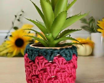 Colorful Boho Mini Succulent Pot Cozy | Granny Square Style Stitch Planter Cover