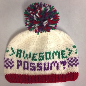 PATTERN: Awesome Possum Hat
