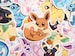 Eevee & Eeveelution Pokemon Vinyl Waterproof Sticker 