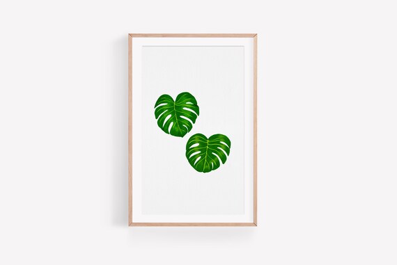 Green Monstera Deliciosa Leaves Art Print Swiss Cheese Tropical Printable Prints Botanical Wall Decor Instant By Cute Muse Catch My Party - Botanical Wall Art Prints Green Monstera Deliciosa Leaves Art Print Swiss Cheese Tropical Printable Prints Botanical Wall Decor Instant By Cute Muse Catch My Party - Botanical Wall Art Prints