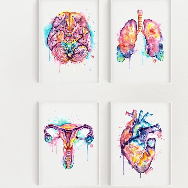 Set of 4 Anatomy Prints, Uterus painting, Lungs Art, Heart Print, Brain Wall Art, Doctor gift, nurse gift, graduation medical school