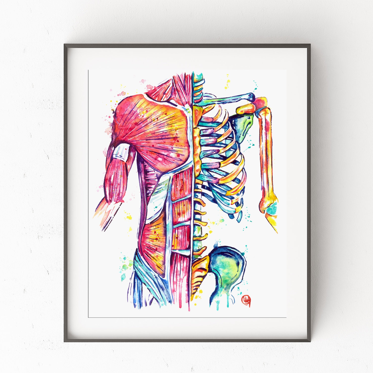 Anatomical Artist: The Life And Works Of Anna Manzolini - z1bblab