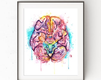 Brain Art, Anatomy Art, Brain Print, Prints Brain, Human Brain, Medical Student Gift, Anatomical Brain, Doctor Gift, Brain Anatomy Print