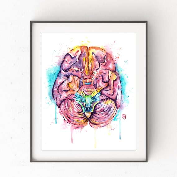 Brain Art, Anatomy Art, Brain Print, Prints Brain, Human Brain, Medical Student Gift, Anatomical Brain, Doctor Gift, Brain Anatomy Print