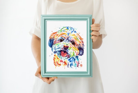 Shorkie Face Cover - Daisy Shorkie Face Cover - Daisy
