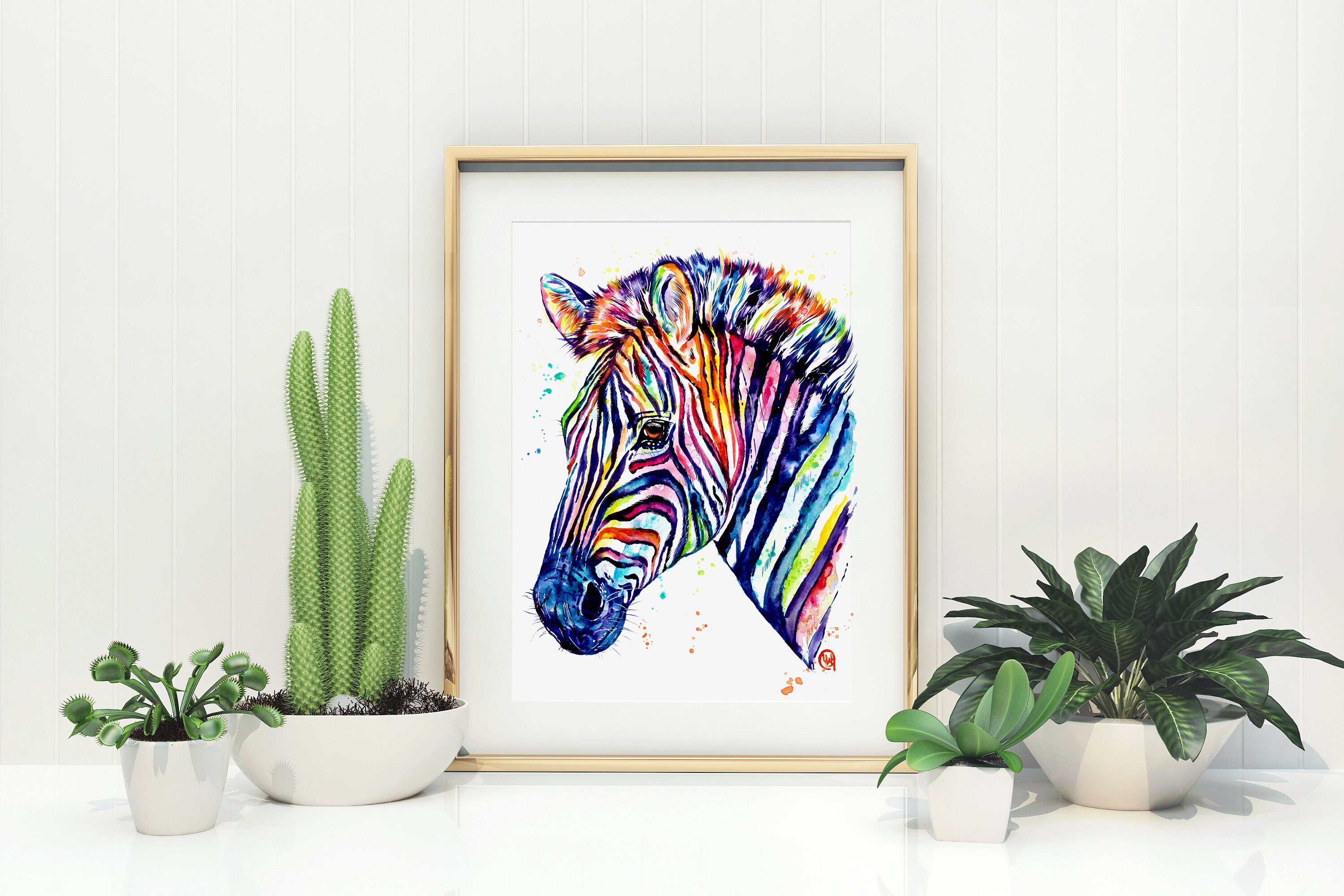 Rainbow Zebra Art -  Canada