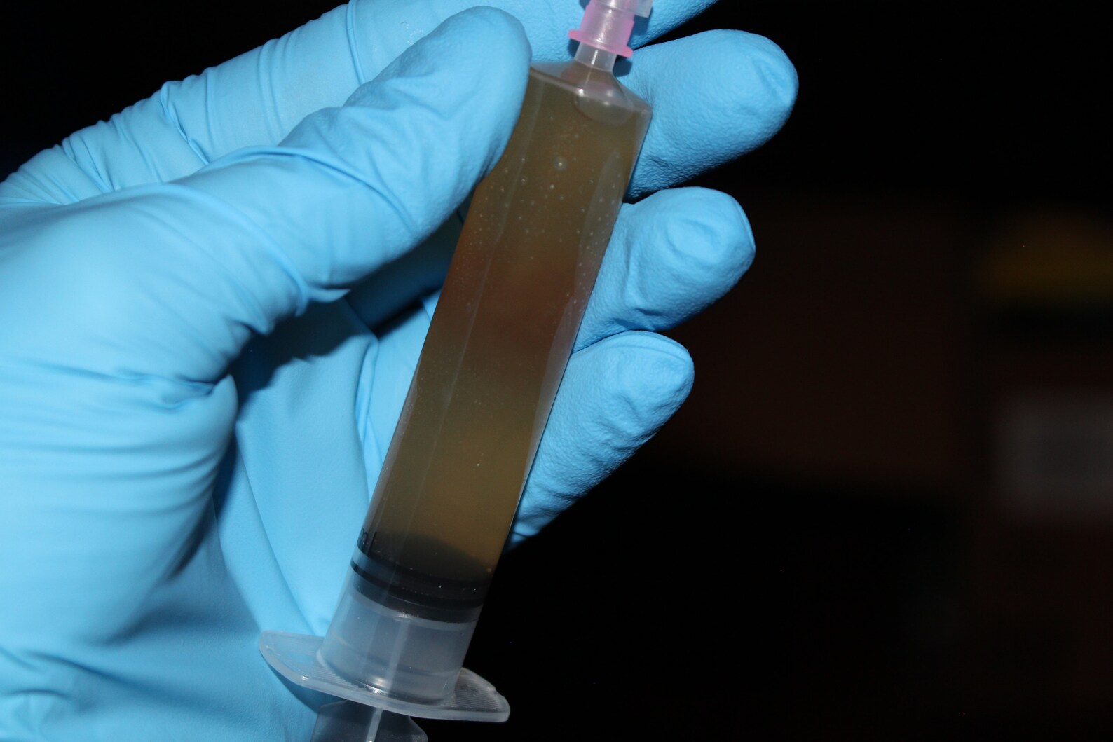 10ml/cc Gray Morel Mycelium Liquid Culture Etsy