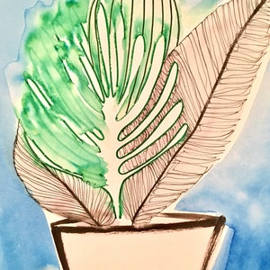 Botanical monstera plant artwork illustrations