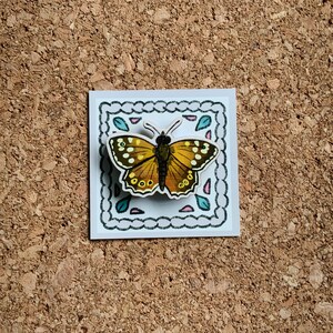 May include: A brown and yellow butterfly with white spots is displayed on a white card with a decorative border. The border is blue, pink, and green.