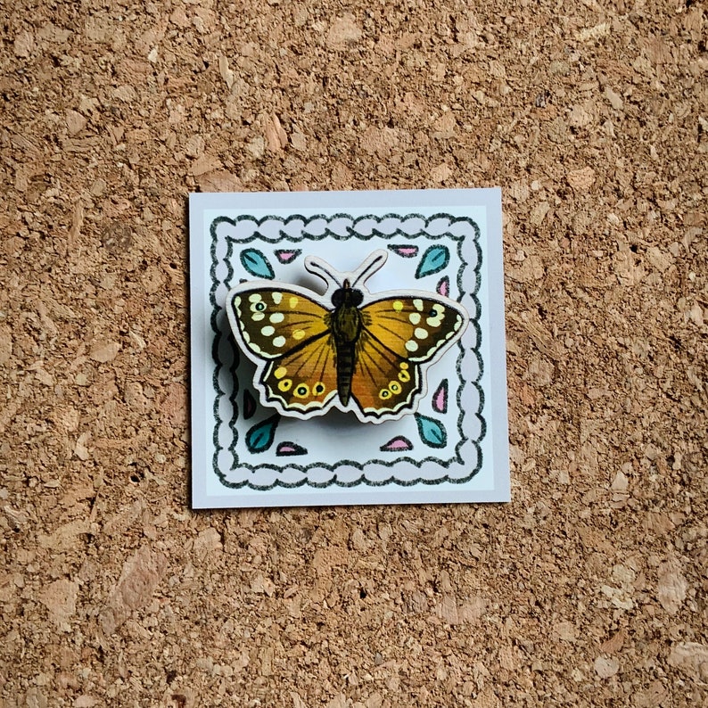 May include: A brown and yellow butterfly with white spots is displayed on a white card with a decorative border. The border is blue, pink, and green.