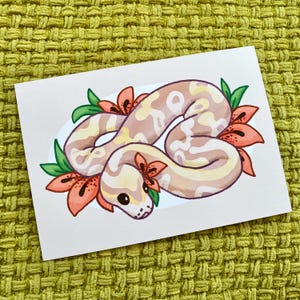 May include: A hand-drawn illustration of a light beige and white snake with a curled body, surrounded by orange and green lily flowers. The snake has a cute, cartoon-like face.