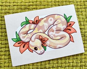 Tiger Lily Ball Python - A5 and A4 Art Print