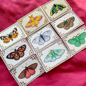 Kunstdruck Schmetterling und Motte 15x10