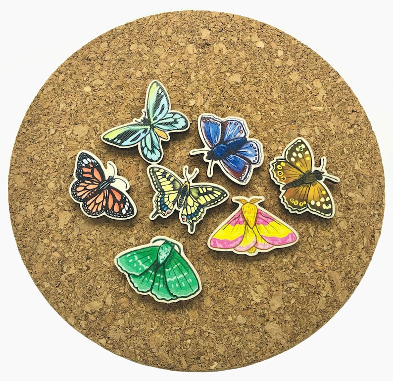 May include: A corkboard with a collection of colorful butterfly and moth pins. The butterflies are in shades of blue, green, yellow, orange, and pink. The moths are brown and black.