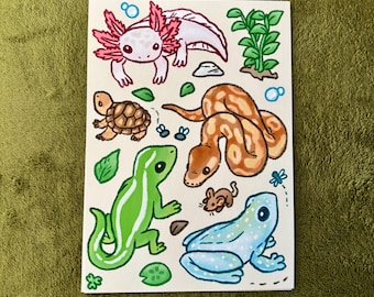 Reptile and Amphibian Illustration Art Print - A5