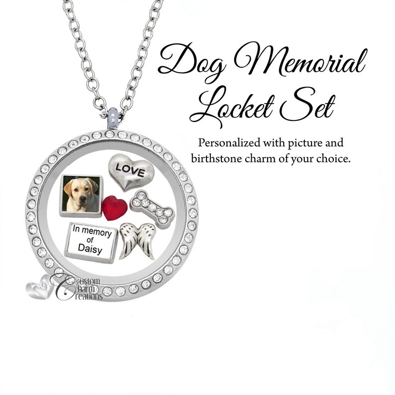 Pet Memorial Jewelry Floating Locket In Memory of My Dog Etsy