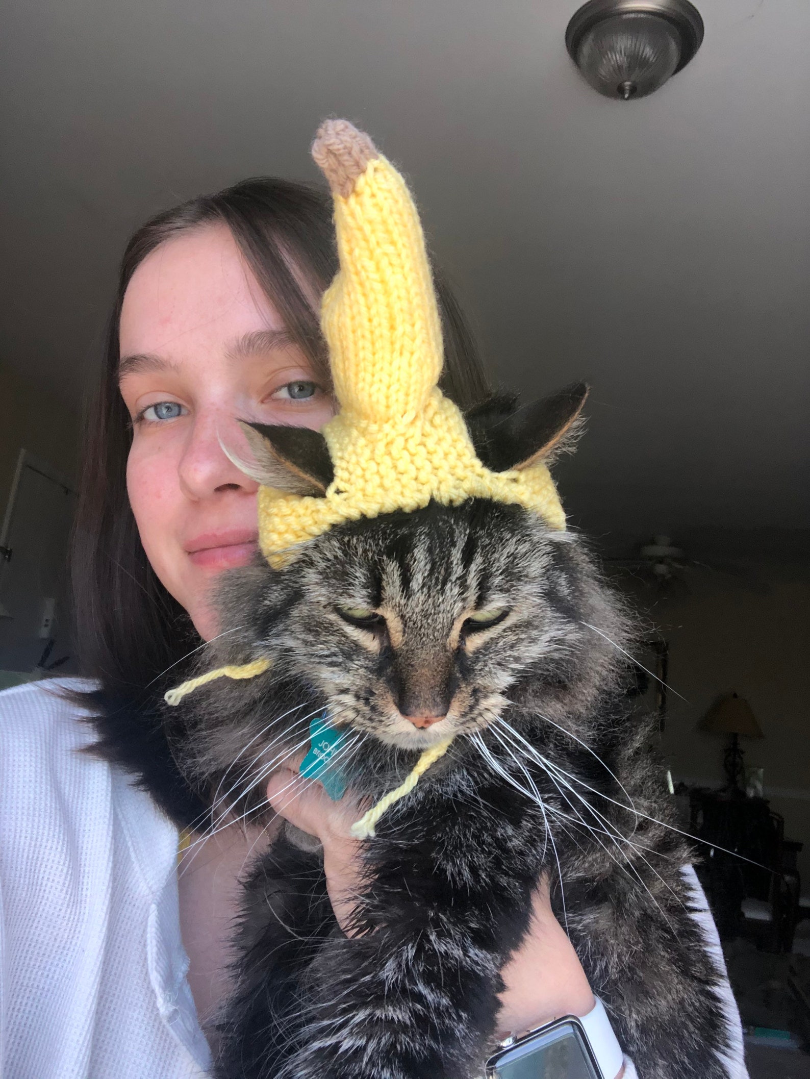 Banana Cat Hat // Tropical Cat Hat // Chapeau de chat de Etsy
