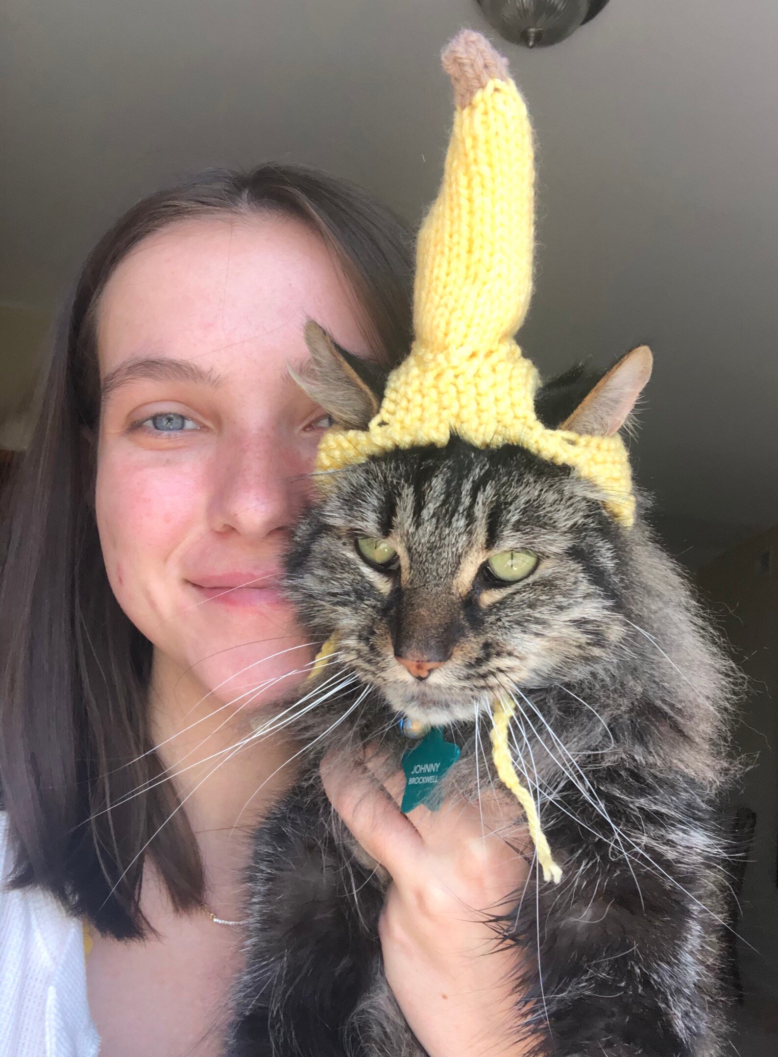 Banana Cat Hat // Tropical Cat Hat // Chapeau de chat de Etsy