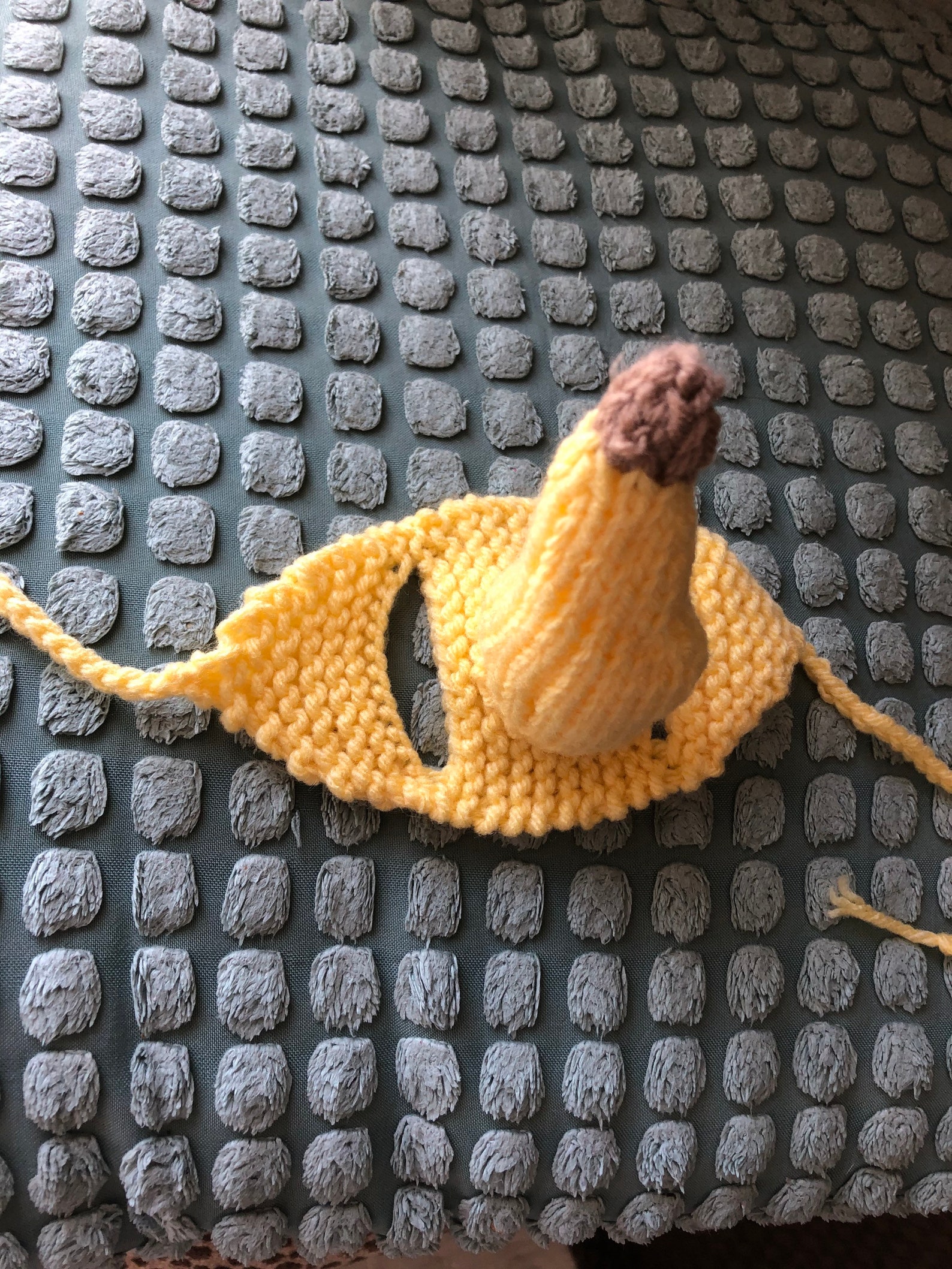 Banana Cat Hat // Tropical Cat Hat // Vacation Cat Hat // Hand Etsy