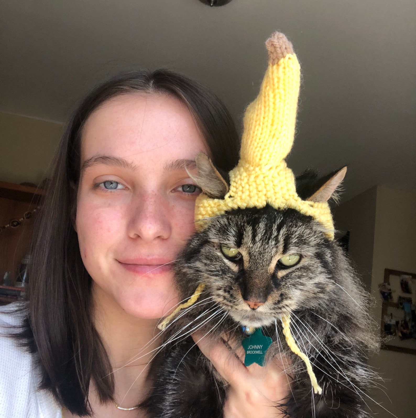 Banana Cat Hat // Tropical Cat Hat // Vacation Cat Hat // Hand Etsy