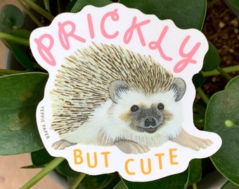 Cute Hedgehog Die Cut Matte Vinyl Sticker - "Prickly but Cute" - ID: STK318