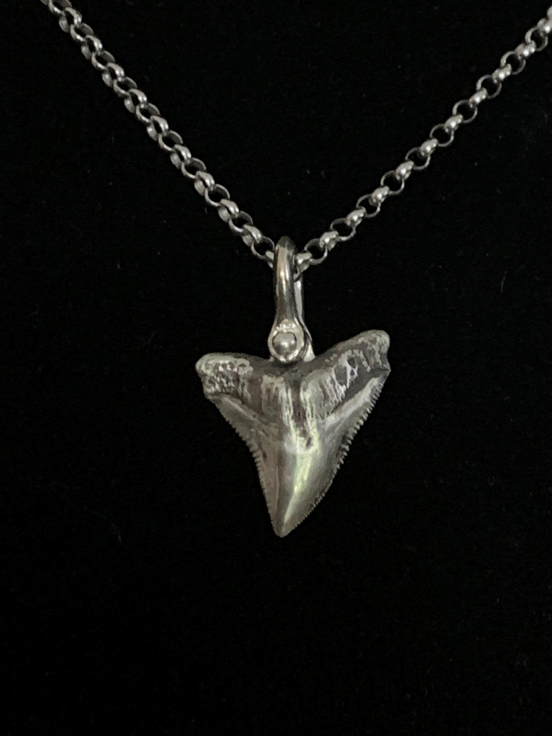 Real shark tooth necklace - Etsy 日本