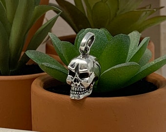 May include: A silver skull pendant charm with detailed features. The charm is hanging from a chain and is in focus against a blurred background of potted plants.