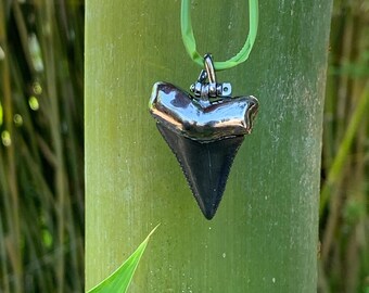 May include: A shark tooth pendant with a silver-colored metal cap and a dark gray tooth. The pendant hangs from a green cord. The background is a green bamboo stalk.