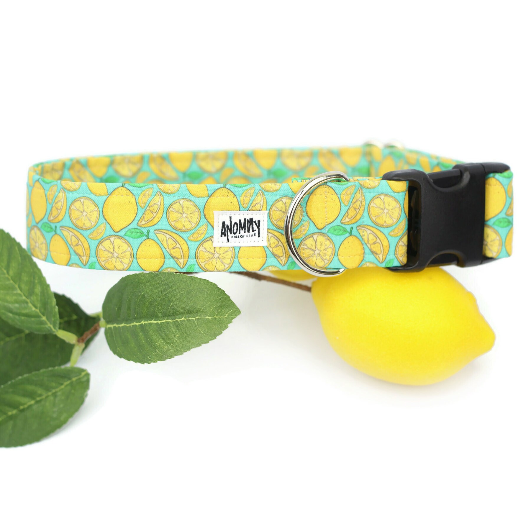 Lemon Dog Collar Summer Dog Collar Fruit Dog Collar Citrus Etsy