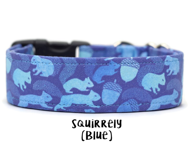 dog collars with 2 d rings