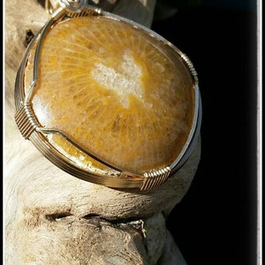 Fossilized Horn Coral Agate ~ Butterfly Hearts~ Hand Wrapped in Sterling 14/20 Gold Fill Wire with a 22&quot; Black Corded Necklace. Bohemian