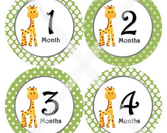 Printed Giraffe Baby Monthly Milestone Stickers, Giraffe Baby Monthly Stickers, Giraffe Baby Shower Gifts, Giraffe Baby Shower, LemonBells